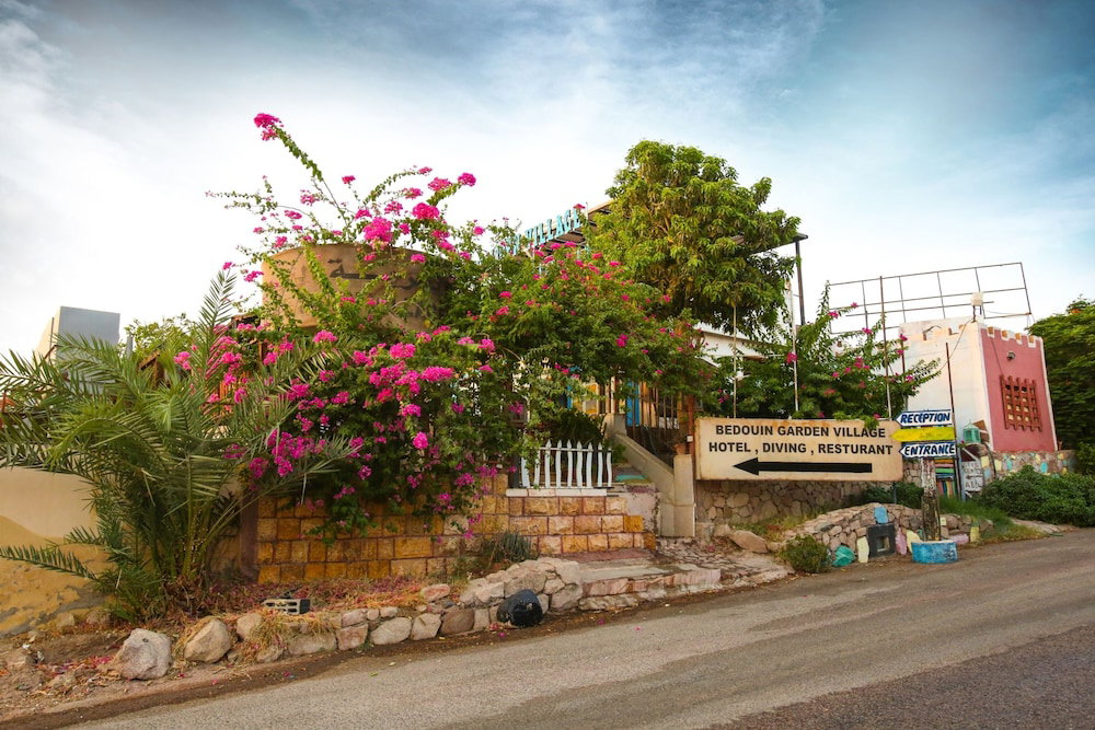 Bedouin Garden Village Hotel Dive