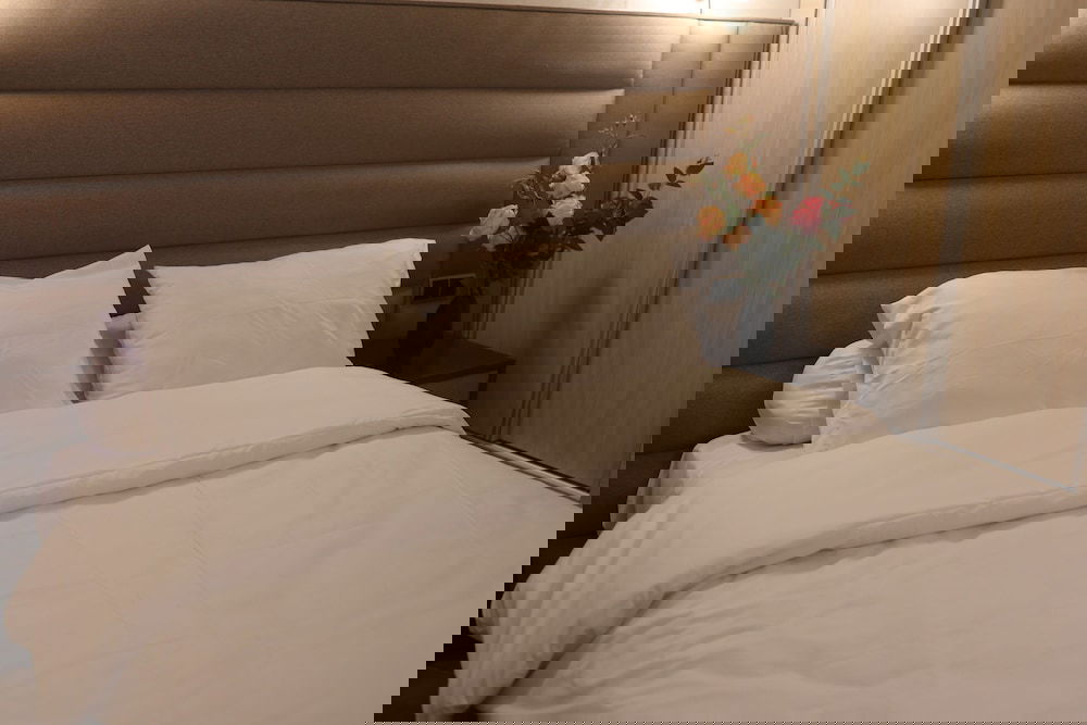 Hotel Hôtel Des Lilas