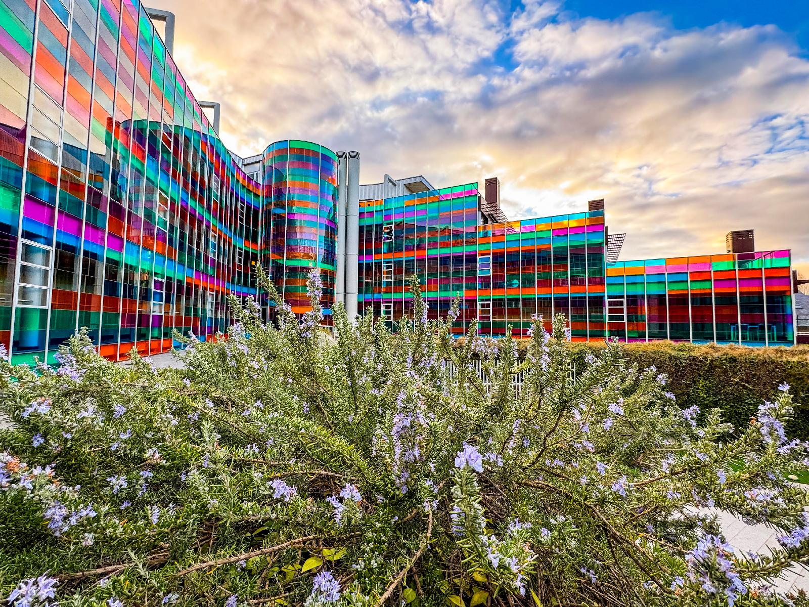 Hotel Jardines De Uleta Suites