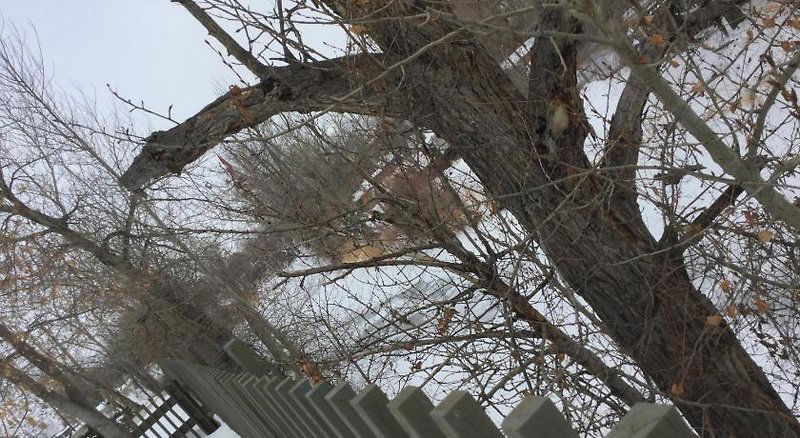 Hotel Riverside Motel