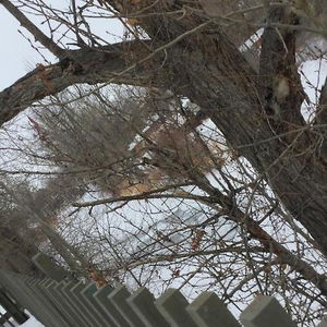 Hotel Riverside Motel cazare Cache Creek