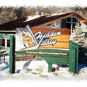 Hotel Flamingo Hotel cazare Medicine Hat