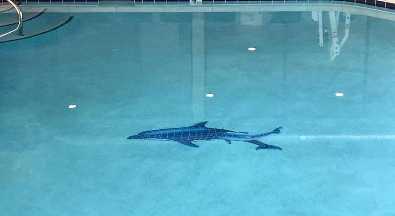 Hotel La Quinta Inn By Wyndham Fort Collins