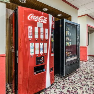 Hotel Red Carpet Inn & Suites cazare Hazleton