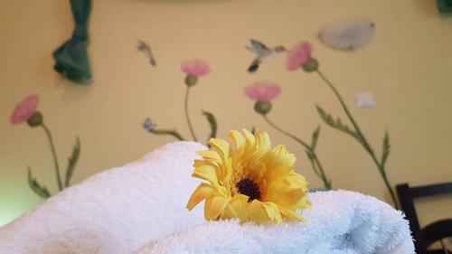 Hotel Pension Anastasia