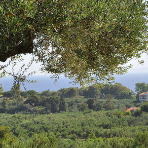 Hotel Villa Belvedere Zakynthos cazare Vasilikos