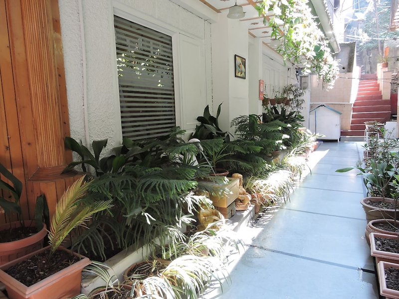 Hotel Hotel Chaman Palace