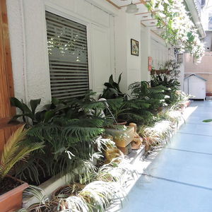 Hotel Hotel Chaman Palace cazare Shimla