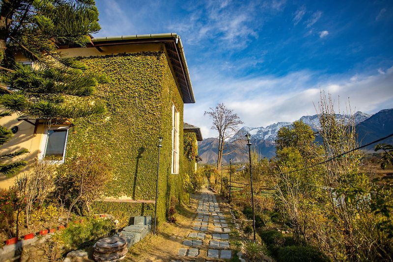 Hotel Seclude Palampur, Himachal Pradesh