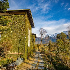 Hotel Seclude Palampur, Himachal Pradesh cazare Palampur