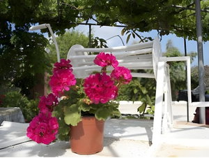 Hotel Chrysanthy Apartments cazare Sidari