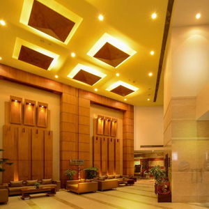 Hotel Comfort Inn Tulip Heights cazare Bathinda