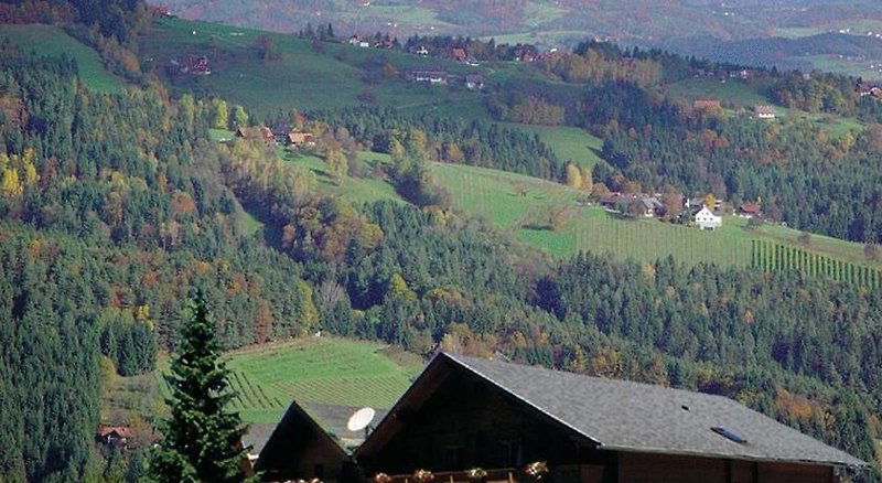 Hotel Naturhotel Enzianhof