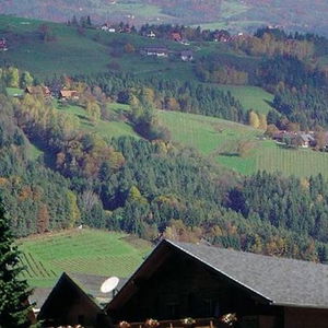 Hotel Naturhotel Enzianhof cazare Ligist