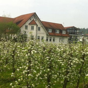 Hotel Landgasthof Apfelblüte cazare Salem