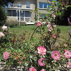 Hotel La Fontana Cabanas cazare San Carlos de Bariloche