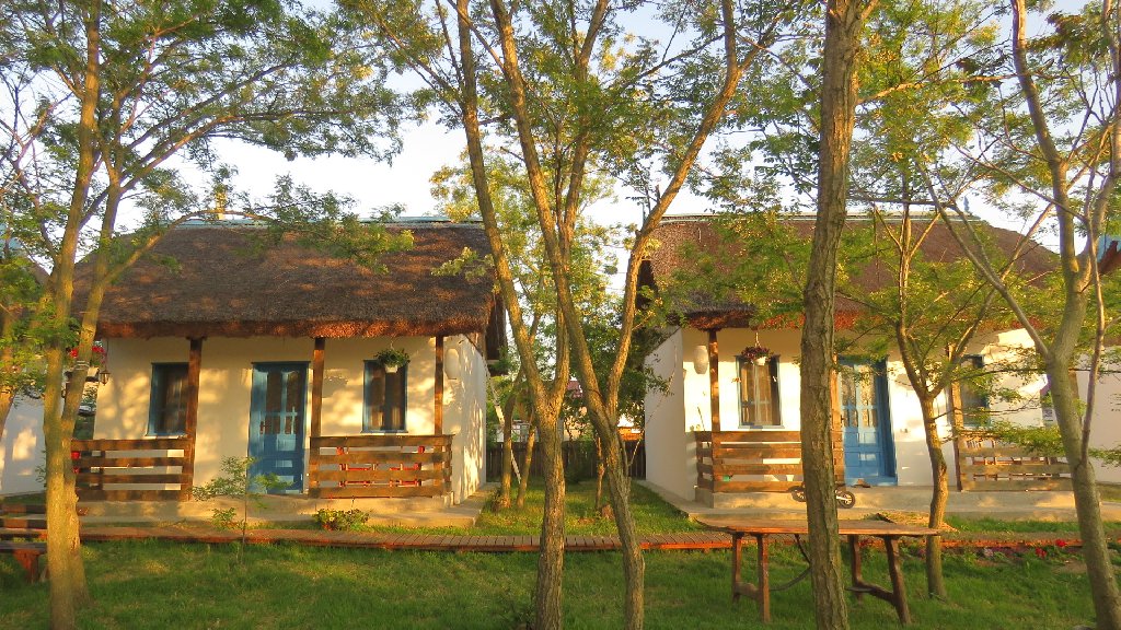 Gradina Aricilor Sf Gheorghe