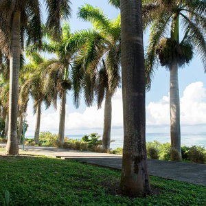 Hotel Sea Castle Vacation Villa cazare Montego Bay
