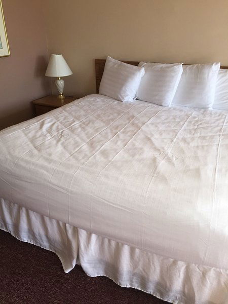 Hotel Willow Tree Inn