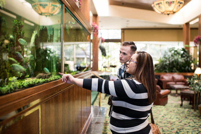 Hotel Mcm Elegante Odessa