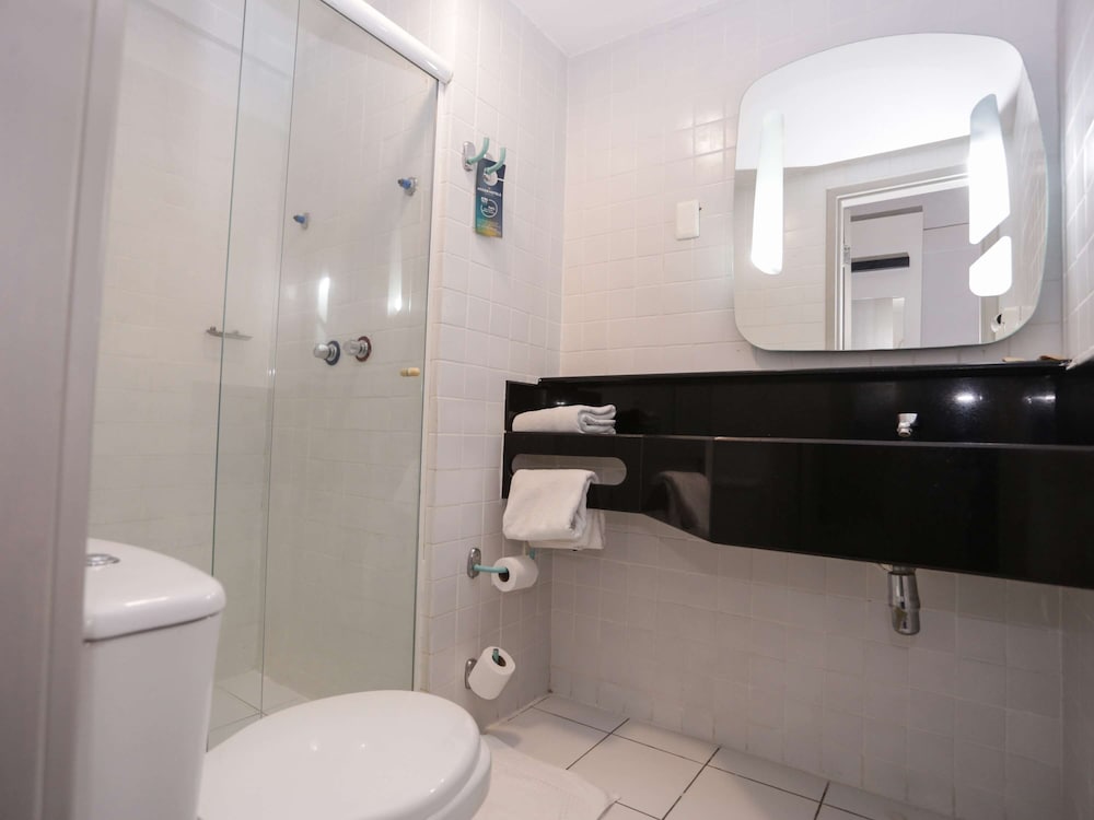 Ibis Teresina