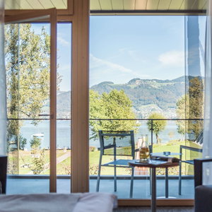 Hotel Deltapark Vitalresort cazare Spiez