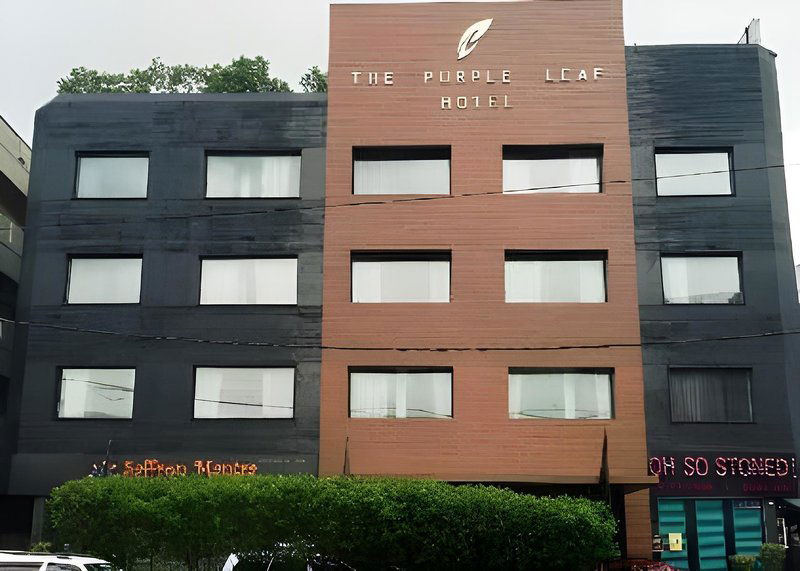 Hotel The Purple Leaf Hotel