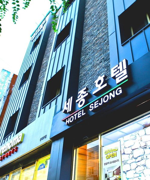 Hotel Sejong Hotel