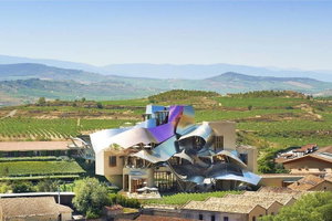 Hotel Hotel Marqués De Riscal, A Luxury Collection Hotel cazare Elciego
