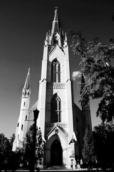 Hotel Larkspur Landing South Bend