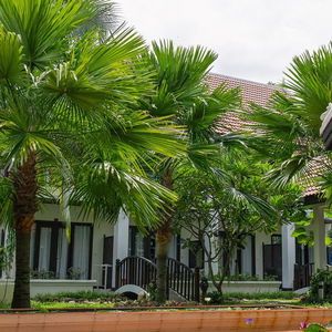 Hotel Sunrise Hotel Luang Prabang Mekongriver cazare Luang Prabang