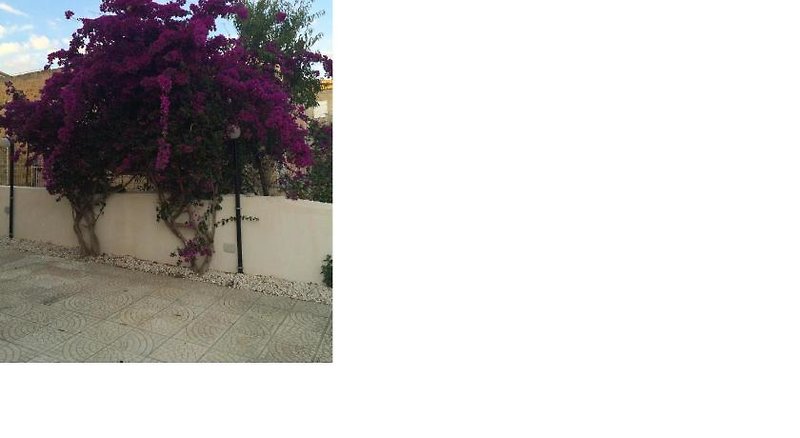 Hotel Villa Amico B&B