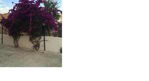 Hotel Villa Amico B&B cazare Agrigento