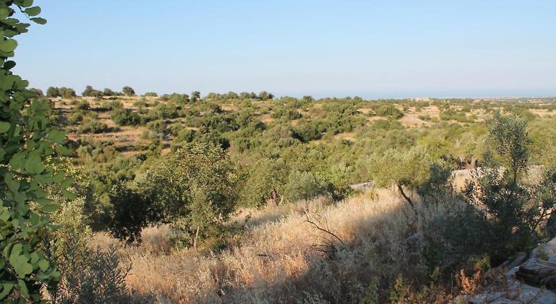 Tenuta Zannafondo