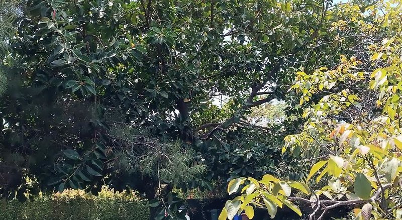 B&B Villa Lidia