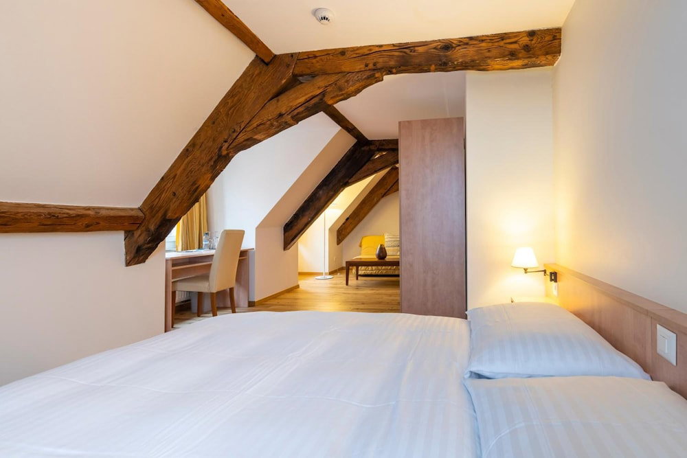 Hotel Hotel Le Rive Sud