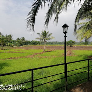 Hotel Rajarata Lodge cazare Anuradhapura