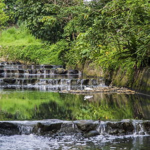 Hotel Golden Tulip Fab Hotel New Taipei cazare Taipei
