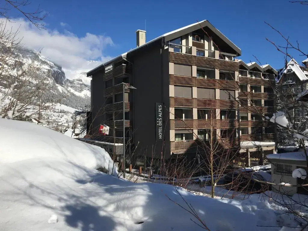 Hotel Hotel Des Alpes