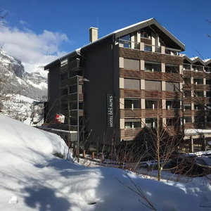 Hotel Hotel Des Alpes cazare Flims