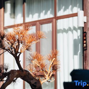 Hotel Gujia Hotel cazare Xinzhou