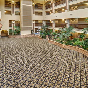 Hotel Radisson Hotel El Paso Airport cazare El Paso