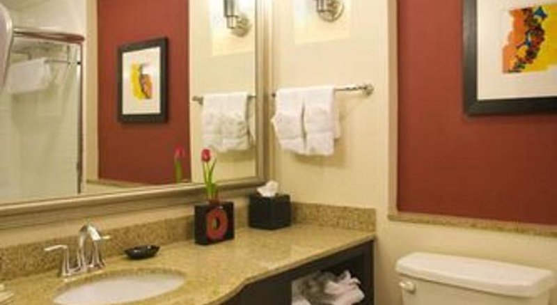 Hotel Holiday Inn Dallas-Fort Worth Airport South