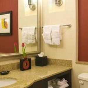 Hotel Holiday Inn Dallas-Fort Worth Airport South cazare Fort Worth