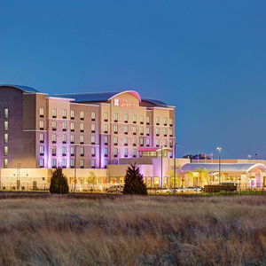 Hotel Hilton Garden Inn Dallas/Arlington South cazare Arlington