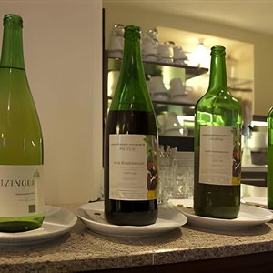 Hotel Das Himberg cazare Himberg