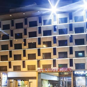 Hotel Hotel Sudha Regency cazare Raipur