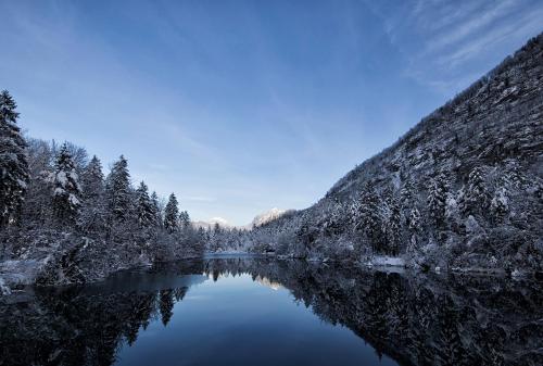 Hotel Yoho International Youth Hostel