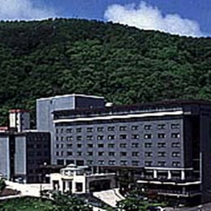 Hotel Noboribetsu Grand Hotel cazare Noboribetsu