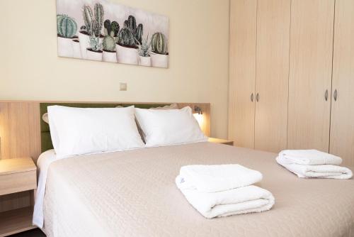 dal travel Plumi Apartments